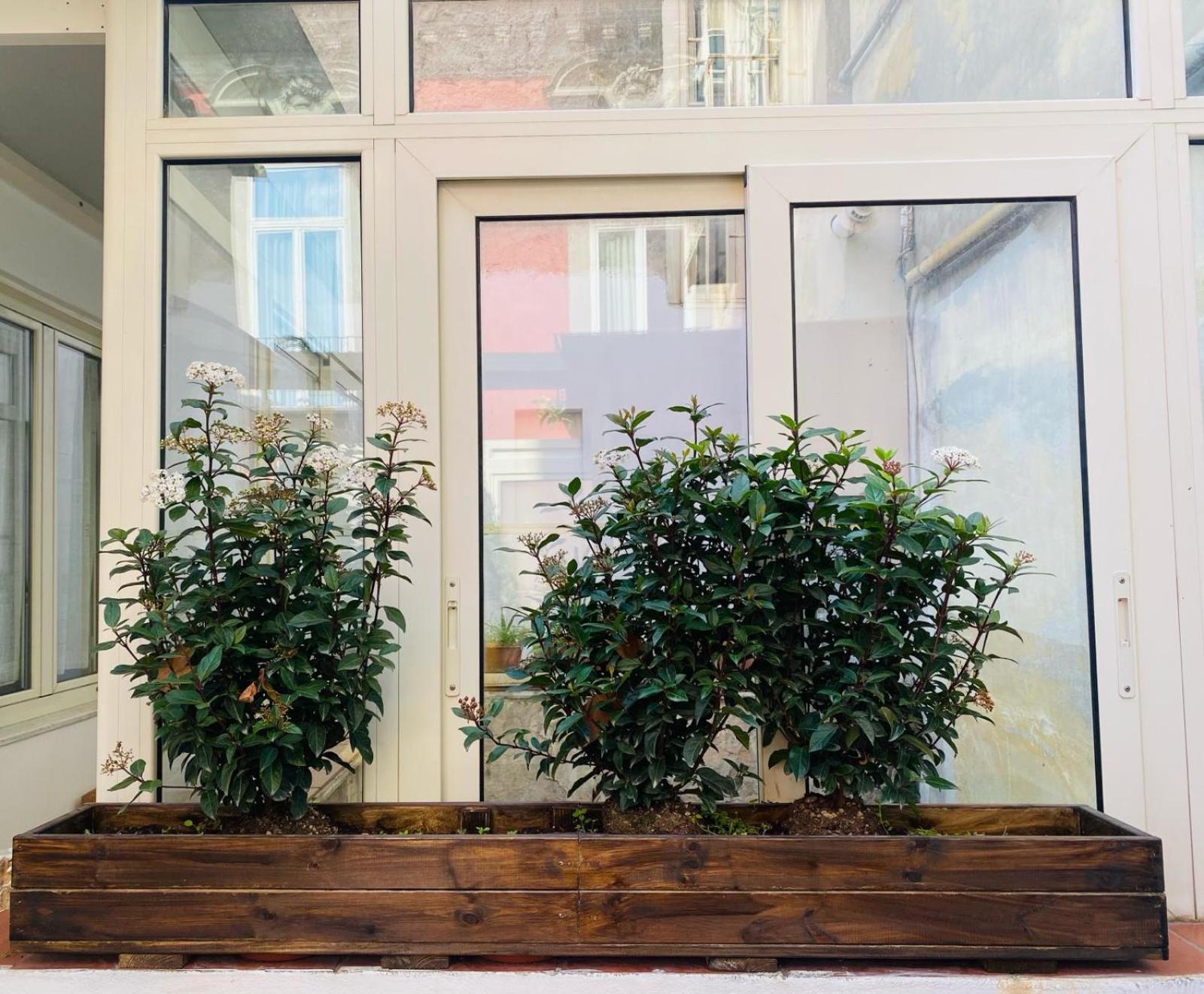 La Casa Di Apollo Apartment Наполи Екстериор снимка